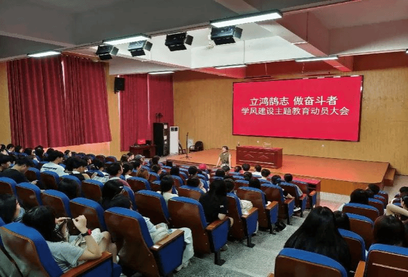 33D5D